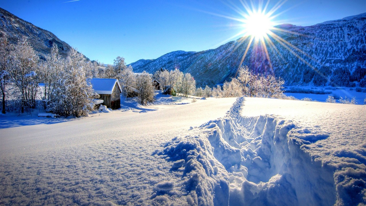 Winter Forest Dawn Snowy Field wallpaper