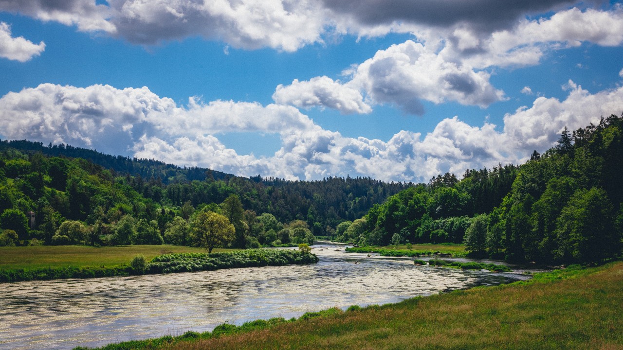 River Forest Trees Meandering Through Valley wallpaper