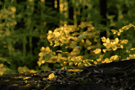 A small plant growing out of a tree stump in the woods, surrounded by a few leaves on the ground and a few trees in the background, pixel art