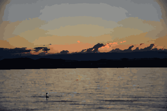 Swan Swimming In Sunset Water pixel art wallpaper