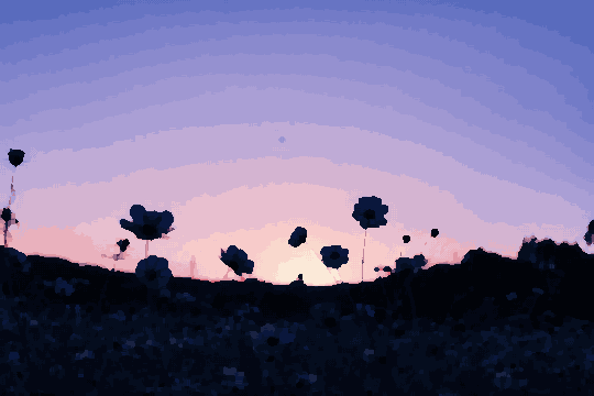 A field of daisies silhouetted against a beautiful sunset sky, with the sun setting in the background, pixel art