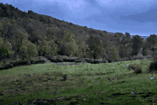A grassy field with trees in the background and a hill in the distance, pixel art