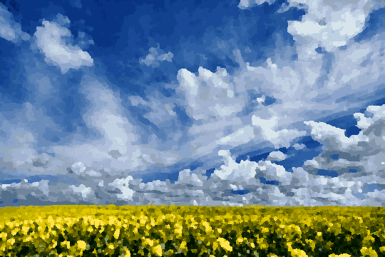 Yellow Rapeseed Field Under Cloudy Sky pixel art wallpaper