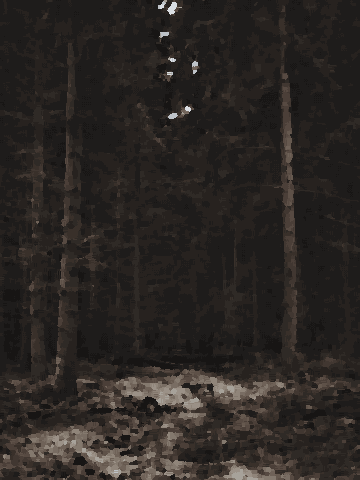 Silhouette Walking Dark Forest Path pixel art wallpaper