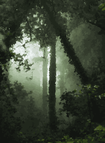 A foggy forest with tall trees in the middle of it, creating a mysterious and ethereal atmosphere, pixel art