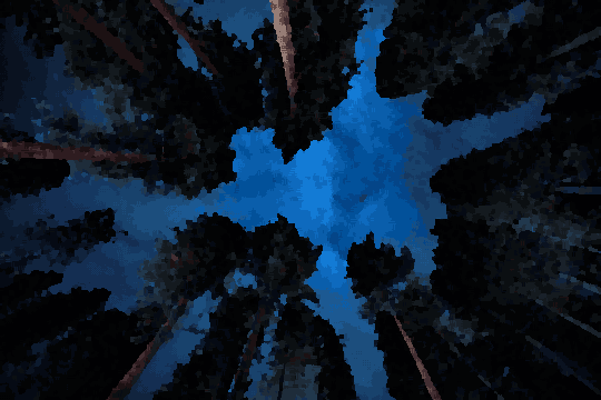 A night sky filled with stars, illuminated by the milky way, over a forest of trees, pixel art