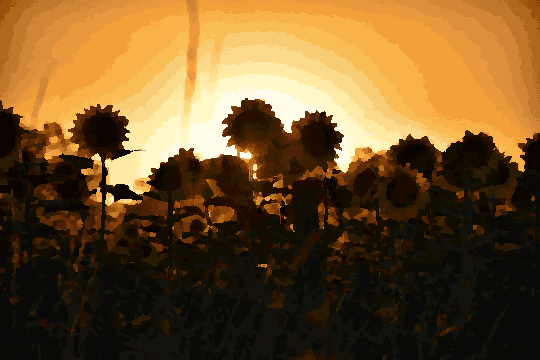 A field of sunflowers with the sun setting in the background, creating a beautiful contrast between the vibrant yellow petals of the flowers and the w, pixel art