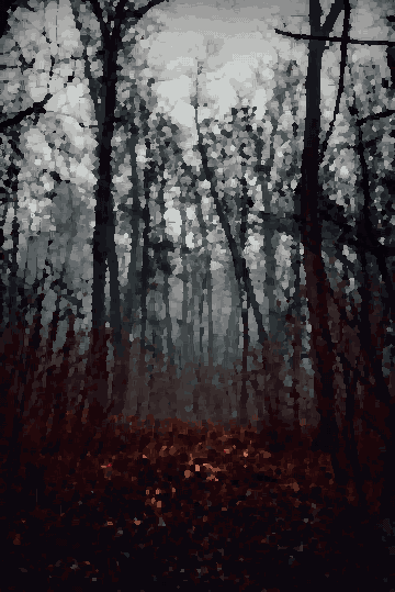 A dark forest with trees and leaves on the ground, pixel art