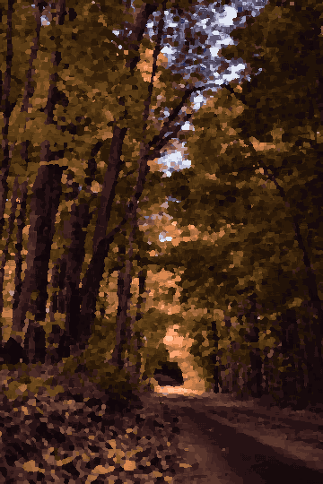Autumn Dirt Road Through Dense Forest — pixel art version