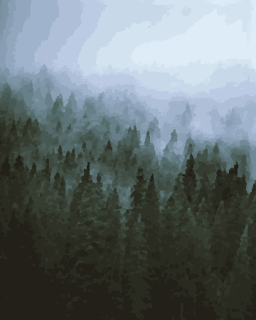 Foggy Forest Tops Shrouded In Mist pixel art wallpaper