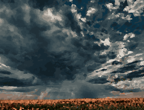 Sunflowers Field Under Stormy Twilight Sky — pixel art version