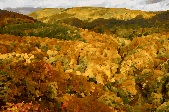 Jogakura Valley Autumn Aerial View — pixel art version
