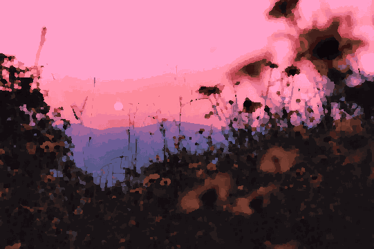 A field of wildflowers with the sun setting in the background, surrounded by trees and hills, pixel art
