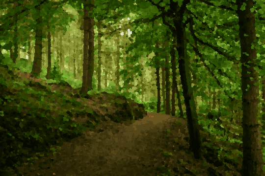 A path winding through a lush green forest, with tall trees on either side of the path, pixel art