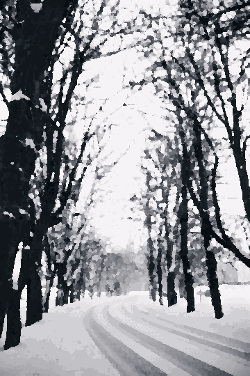 A black and white photo of a snowy road lined with trees, with a blanket of snow covering the ground and the sky in the background, pixel art