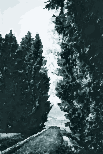 A black and white photo of a dirt road winding through a forest of trees, with grass on either side of the road and a clear blue sky in the background, pixel art