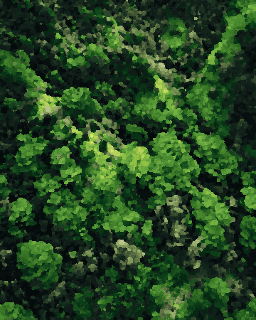 Aerial Top View Of Green Forest Canopy — pixel art version