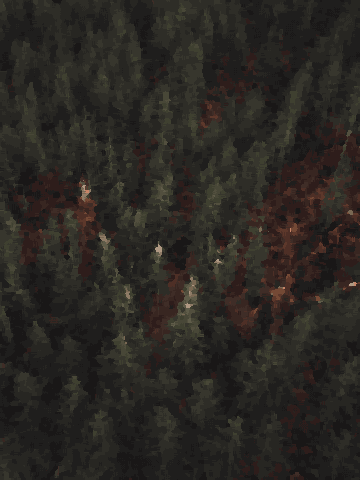 An aerial view of a forest filled with lots of tall loblolly pine trees, pixel art