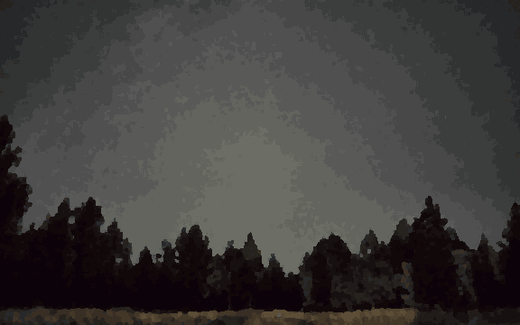 A night sky filled with stars and trees in the foreground, with grass on the ground below, pixel art