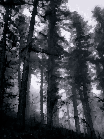 Black And White Foggy Forest With Tall Trees — pixel art version