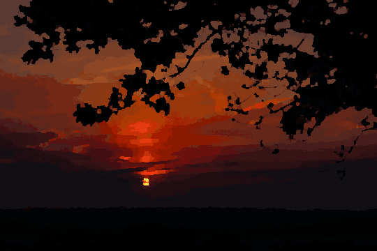 Silhouetted Tree Against Sunset Horizon pixel art wallpaper