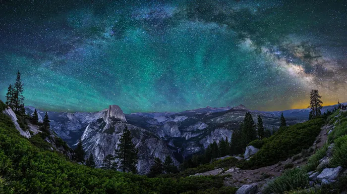 forest, sky, nature wallpapers