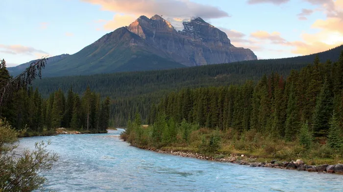 mountain, forest, river wallpapers