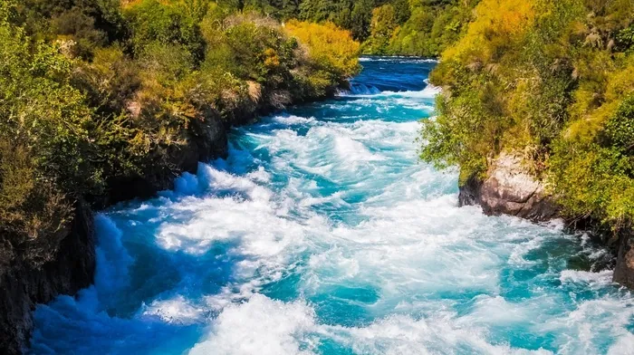 nature, forest, river wallpapers