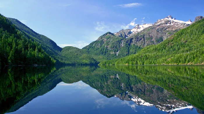mountain, forest, lake wallpapers