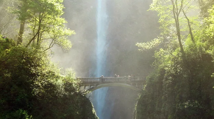 bridge, greenery, waterfall wallpapers