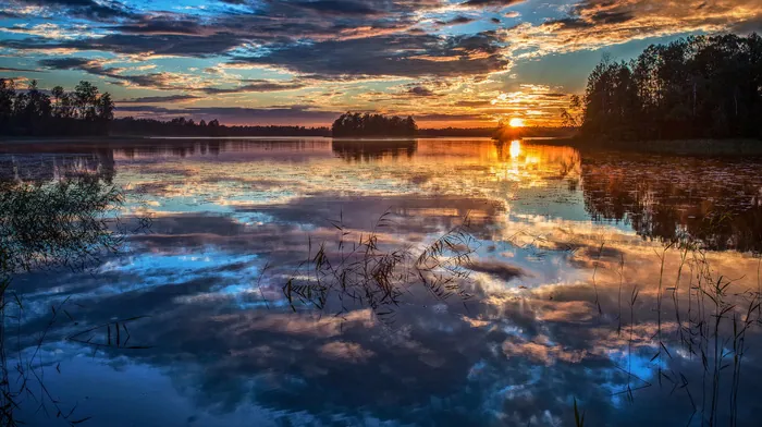 trees, summer, sky wallpapers