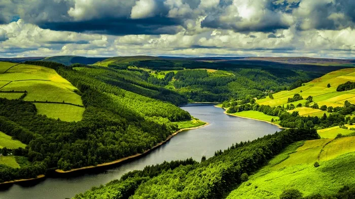 uk, river, forest wallpapers