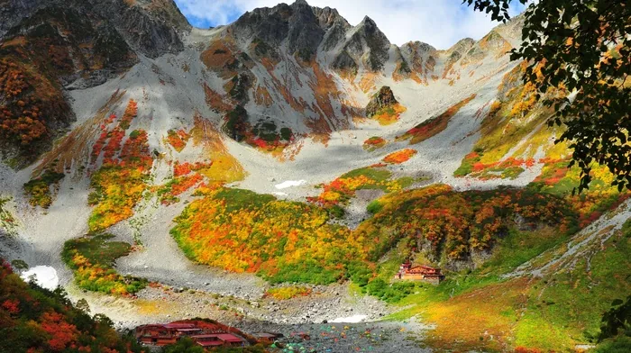 landscape, rock, leaves wallpapers