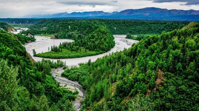 river, forest, nature wallpapers