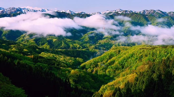 landscape wallpapers