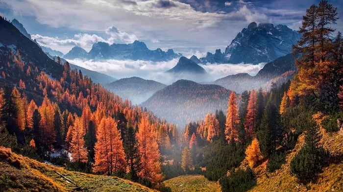 grass, mountain, landscape wallpapers