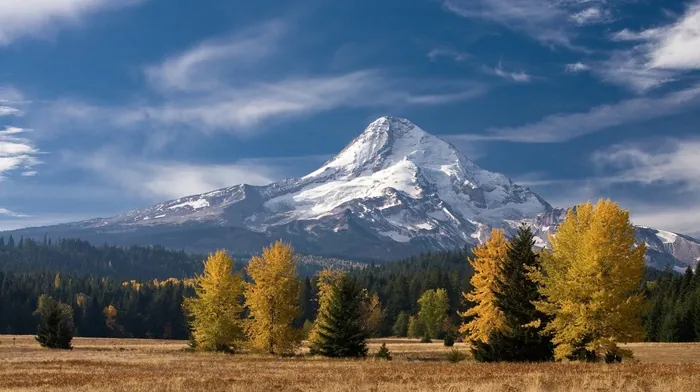 forest, mountain, landscape wallpapers