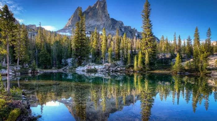 trees, idaho, lake wallpapers