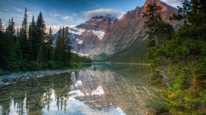 water, pine trees, nature wallpapers