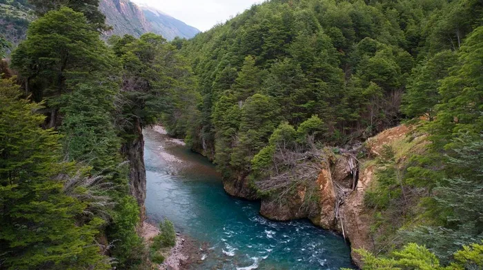 water, green, chile wallpapers