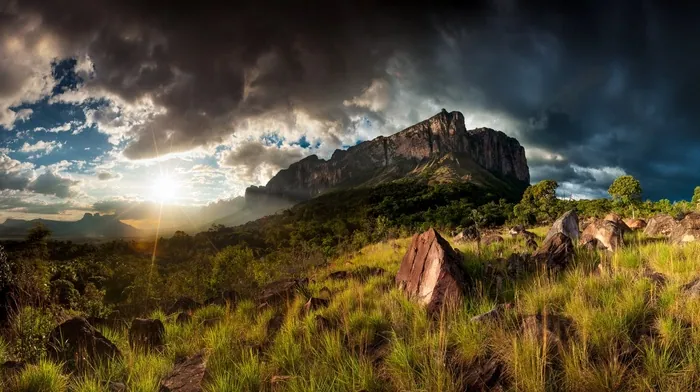 grass, rock, lens flare wallpapers