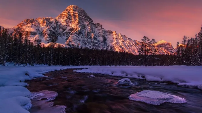 alberta, frost, canada wallpapers