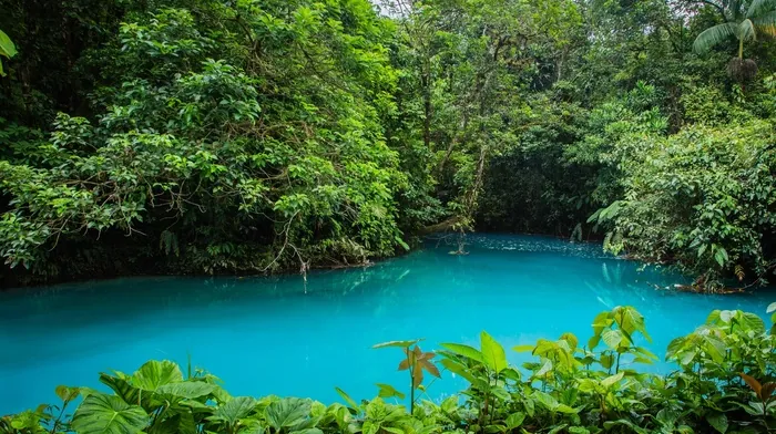 water wallpapers
