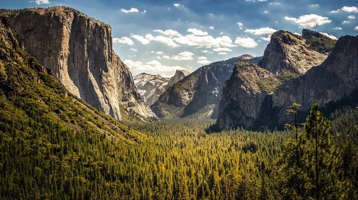 cliff, nature, trees wallpapers