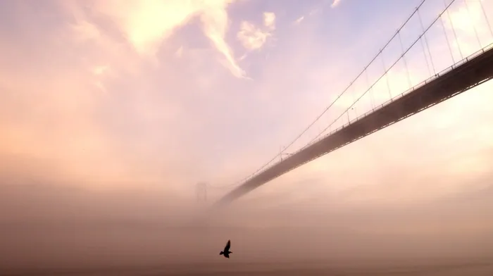 mist, birds, bridge wallpapers