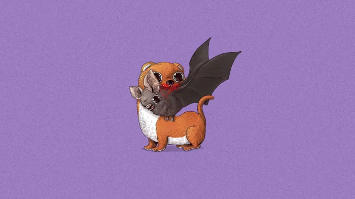 minimalism, animals wallpapers