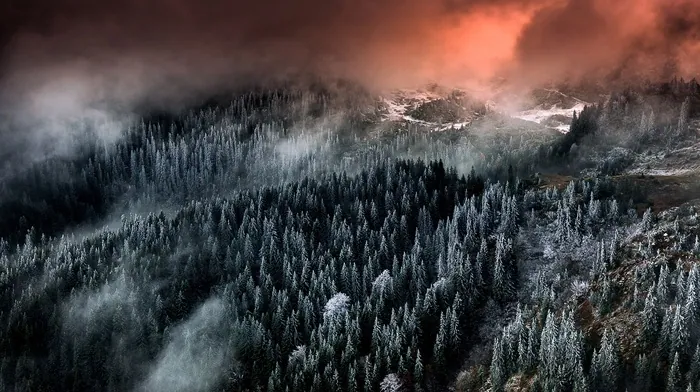 mountain, trees, sunrise wallpapers