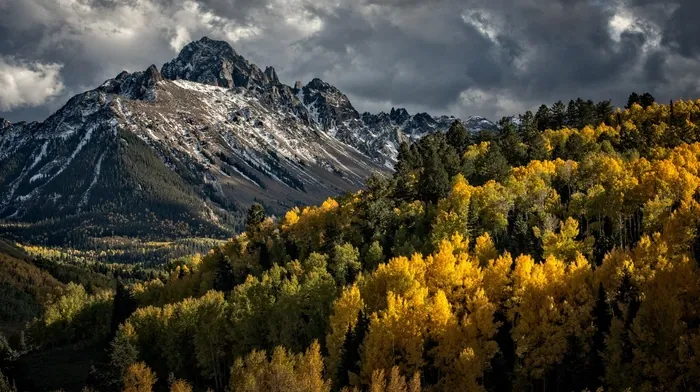 clouds, landscape, trees wallpapers