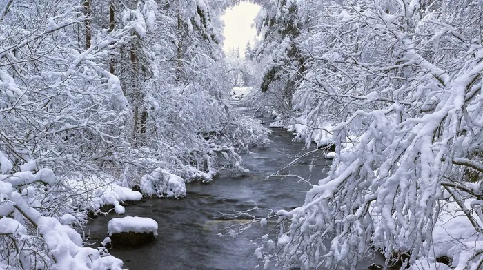 winter wallpapers