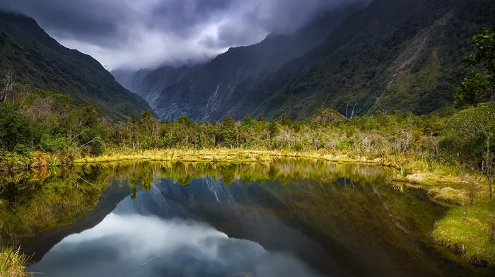 shrubs, mountain, landscape wallpapers